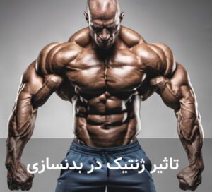 تاثیر ژنتیک در بدنسازی