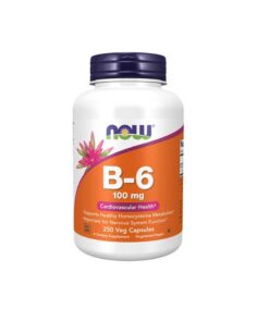 ویتامین ب 6 100میلی گرم ناو (250عددی) | Now B6 100MG